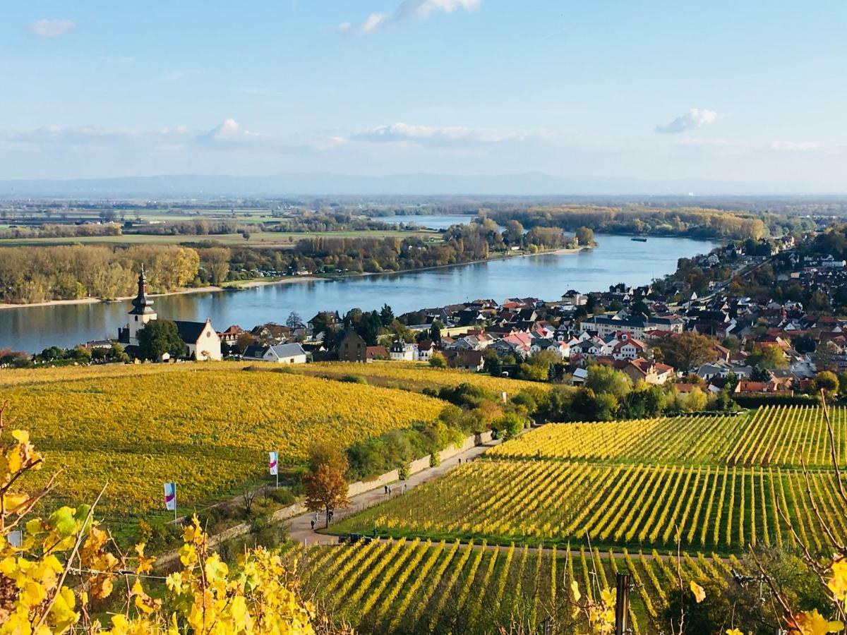 Rhein-Hotel Nierstein Luaran gambar
